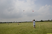 Parco San Giuliano  - 151